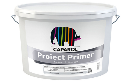 Proiect Primer